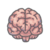 Boltzmann Brain.png