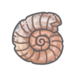 Devonian Ammonite.png