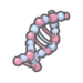 Double Helix DNA.png